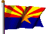 Arizona state flag