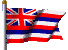 Hawaii state flag