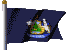 Maine state flag